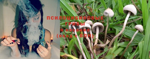 хмурый Зеленодольск