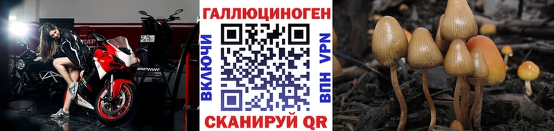 наркота  нарко площадка как зайти  Галлюциногенные грибы Psilocybe  Люберцы 