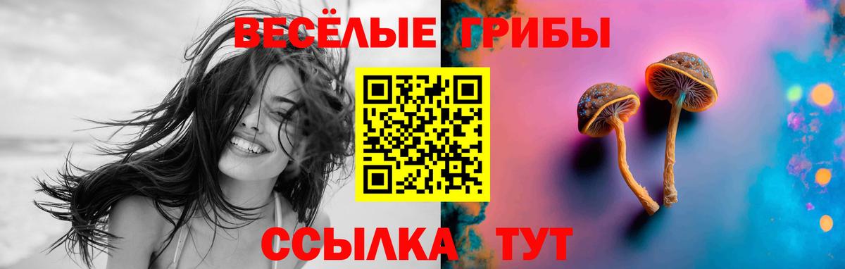 Люберцы  Псилоцибиновые грибы GOLDEN TEACHER  Псилоцибиновые грибы ЛСД  где продают   Вход с VPN 